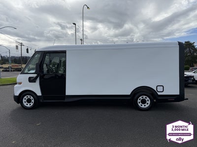 2023 BrightDrop Zevo 600 EJY